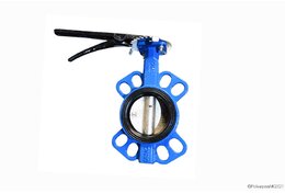 Затвор Ду 80